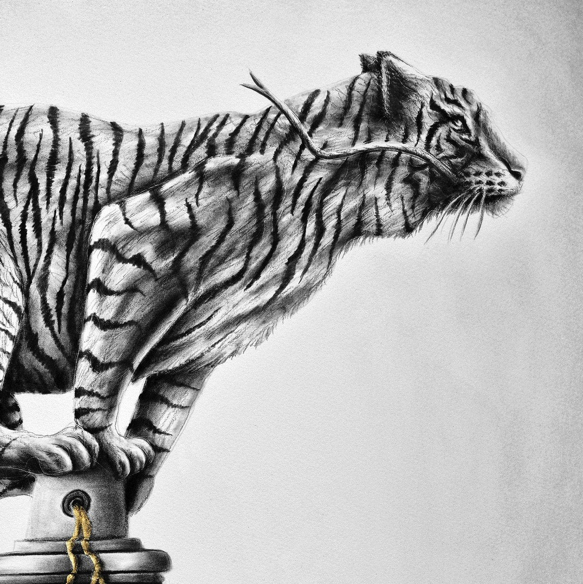 "Go Get It" - ed. of 100 - 70x50cm